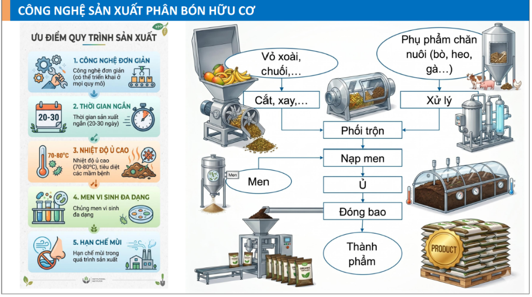 Công nghệ và thiết bị sản xuất phân hữu cơ từ phụ phẩm nông sản (xoài, dứa, mít, thanh long, sầu riêng...)