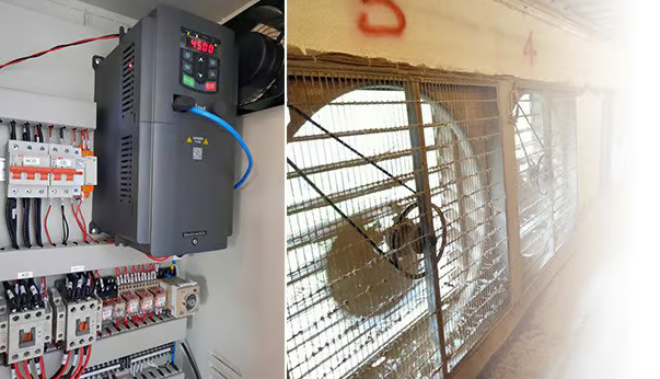 Giải pháp sử dụng biến tần cho hệ thống thông gió trang trại chăn nuôi